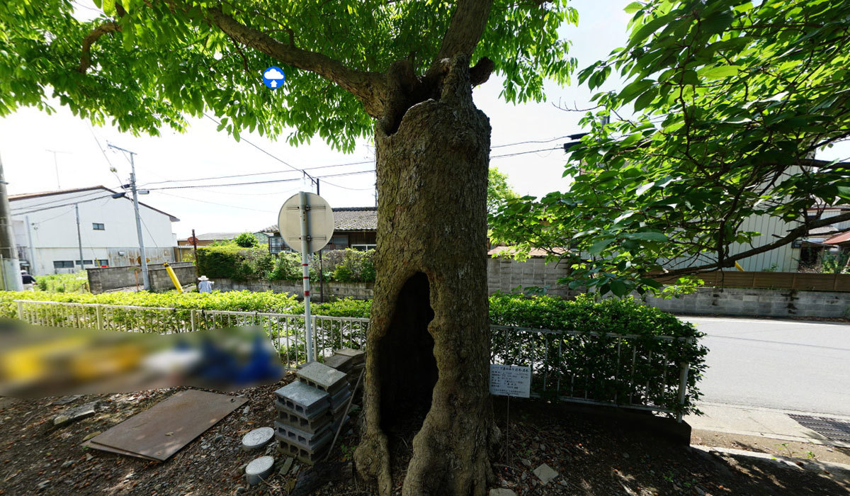 /sightseeing-spots/ibaraki-shimotsuma-360vr-tour.html#shimotsuma-shrine-mukuroji