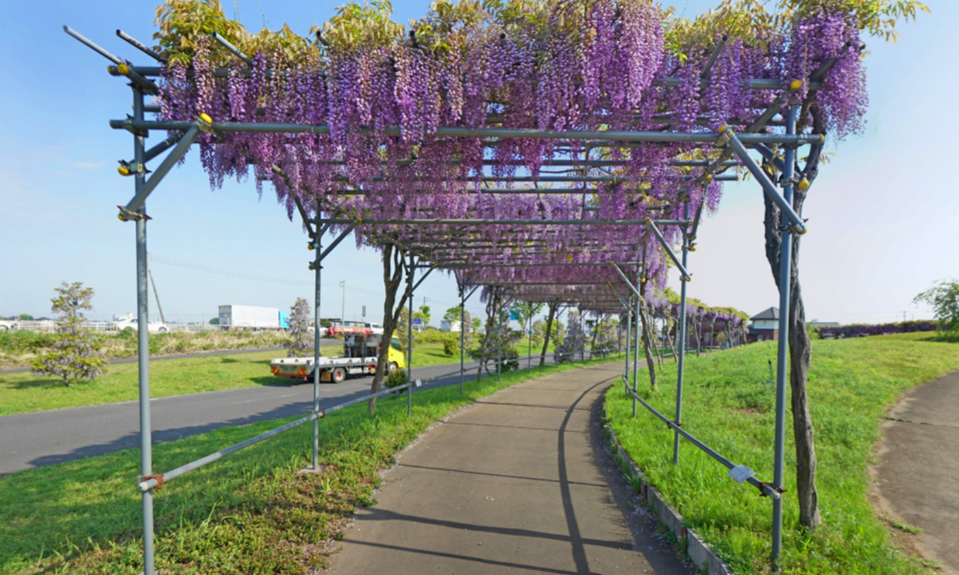 茨城県下妻市やすらぎの里しもつまの観光VRツアー