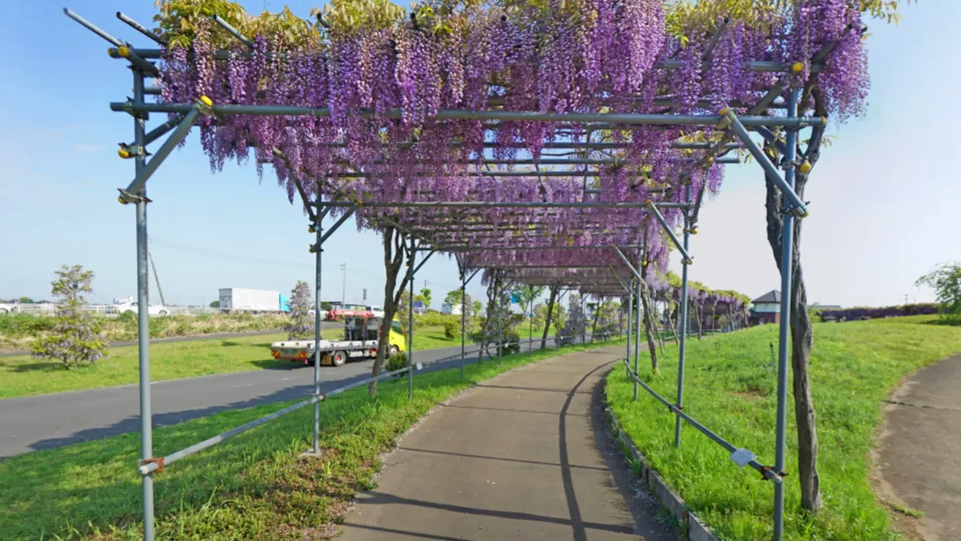 茨城県下妻市やすらぎの里しもつまの観光VRツアー