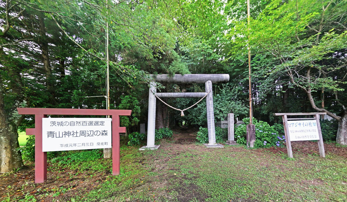 城里町の青山神社の鳥居