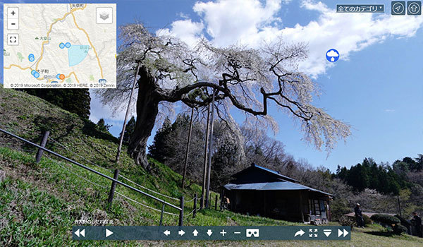 茨城県大子町の外大野のしだれ桜