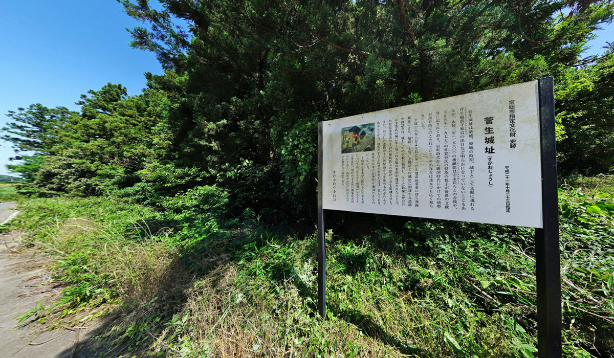 常総市の歴史おすすめ観光スポットの菅生城址