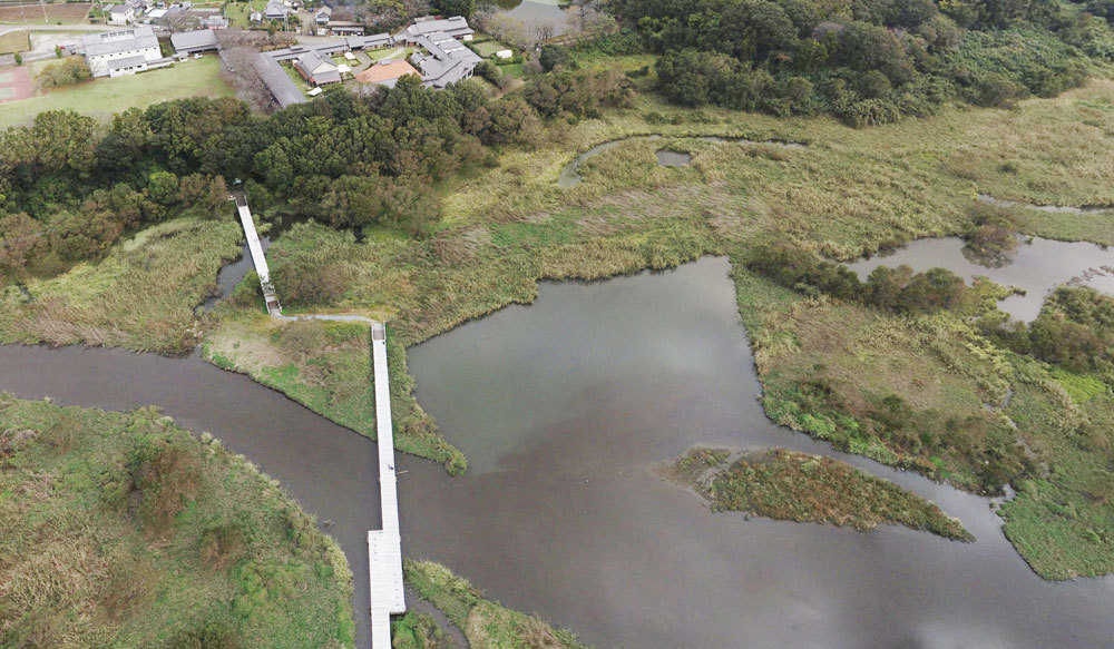 茨城県常総市と坂東市の自然・体験観光名所の菅生沼