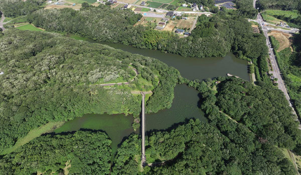 潮来市おすすめ湖沼景観スポットの大膳池