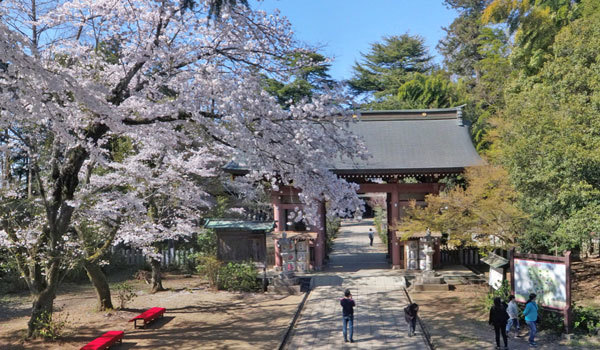 下妻市の平将門おすすめ観光スポットの大宝八幡宮の案内VRツアー