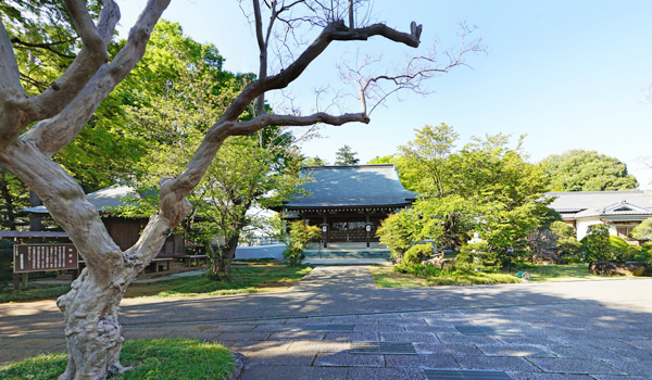 坂東市の平将門おすすめ観光スポットの西念寺の案内VRツアー