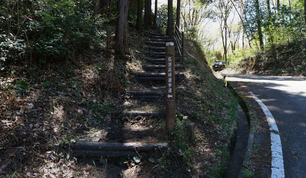 桜川市おすすめ山桜登山観光スポットの高峯登山口の案内VRツアー