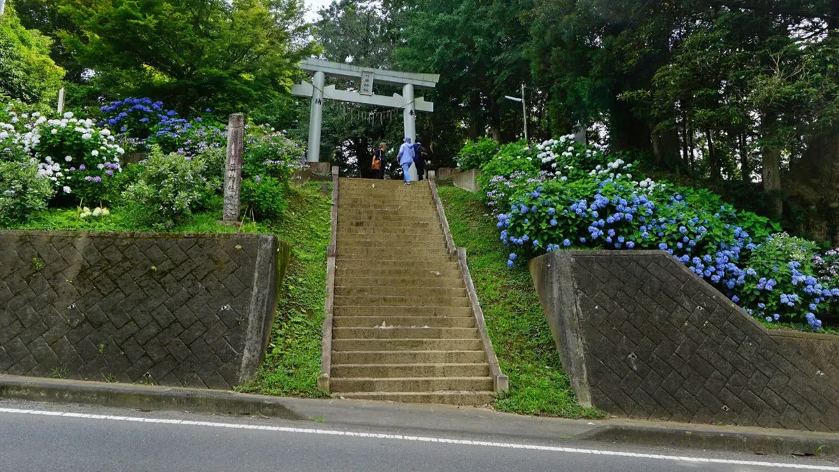 茨城県小美玉市の観光名所の竹原神社のあじさい案内VRツアー