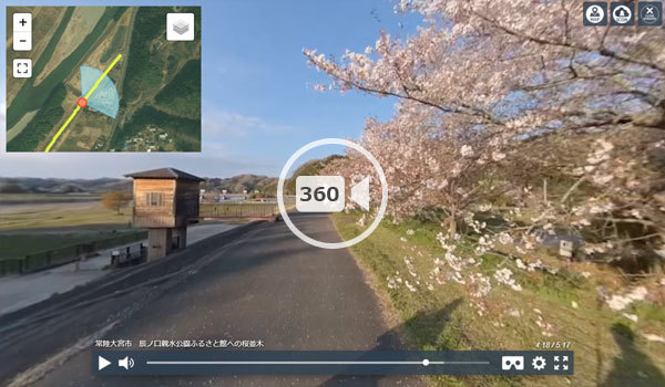 常陸大宮市の観光名所の辰ノ口親水公園桜並木の自転車走行観光VR動画