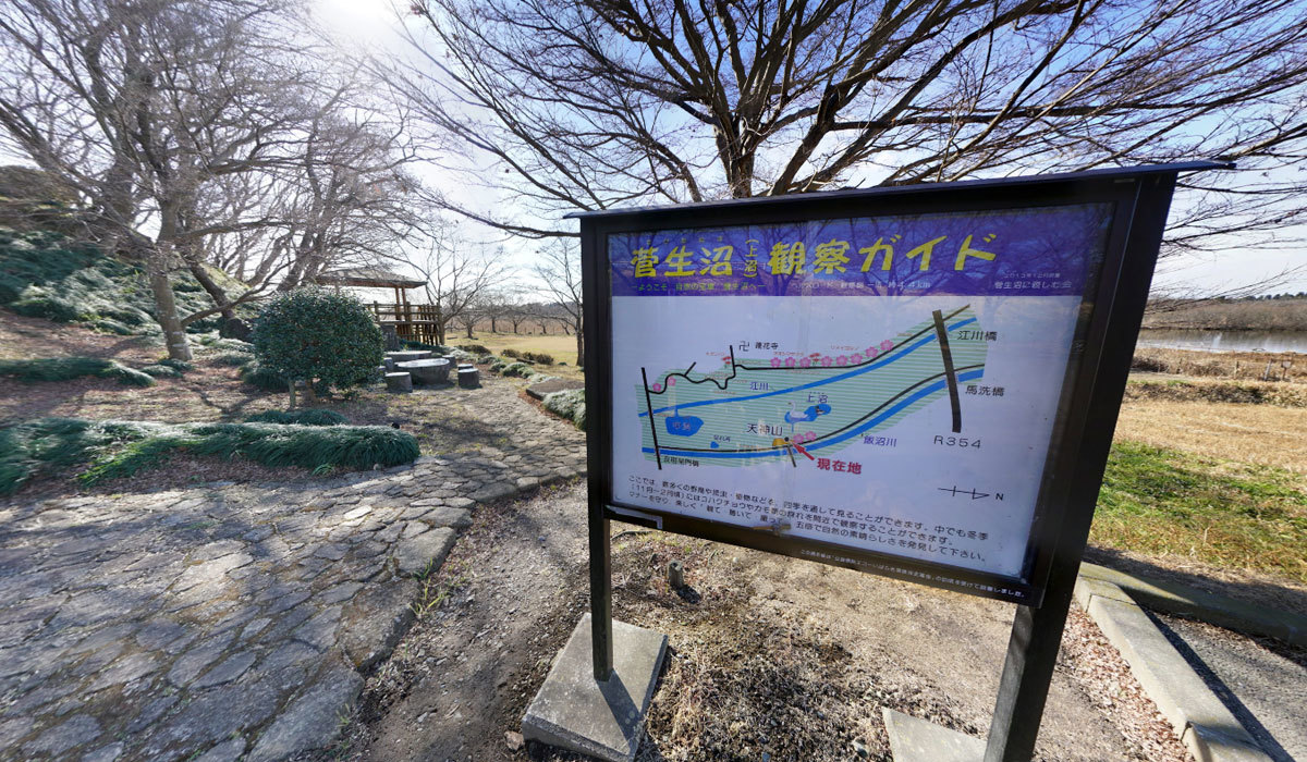 坂東市おすすめ自然観察スポットの天神山公園菅生沼