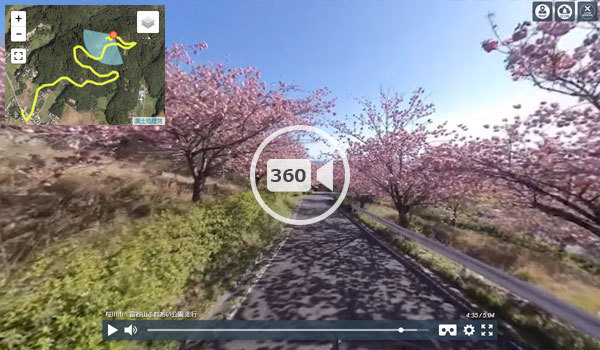 桜川市おすすめ桜スポットの富谷山ふれあい公園への道の観光VR動画