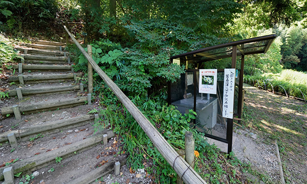 大平野生植物園のやまゆり祭りVRツアー
