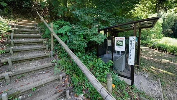 茨城県利根町の 大平野生植物園のやまゆり祭り