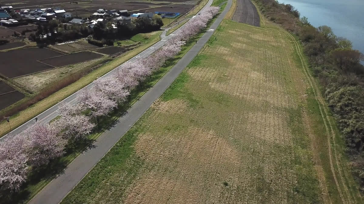 利根川空撮動画のサムネイル