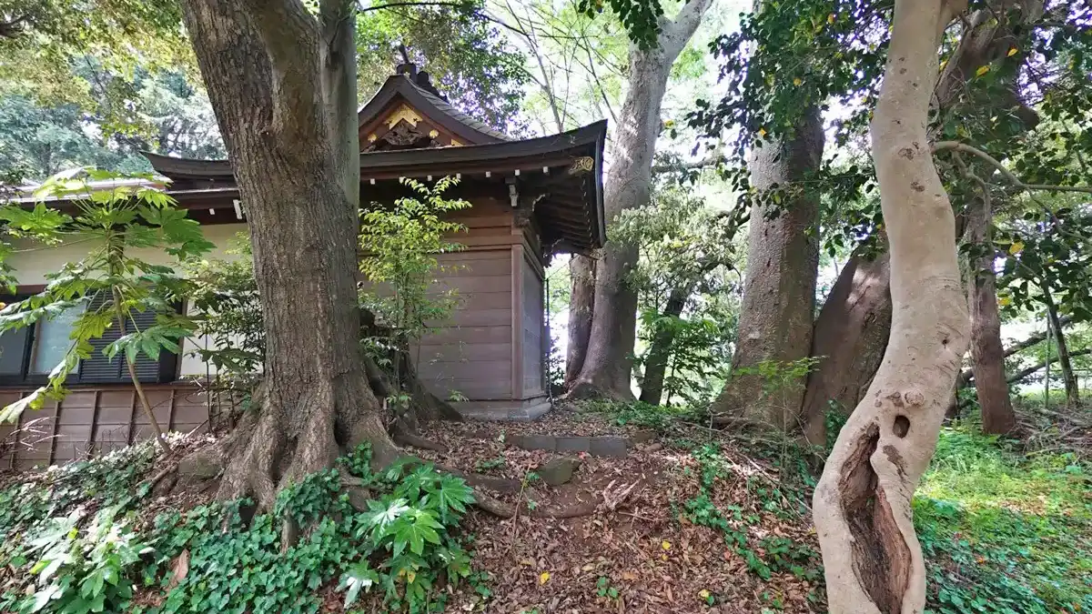 利根町おすすめ観光スポットの来見寺のケヤキ等巨木