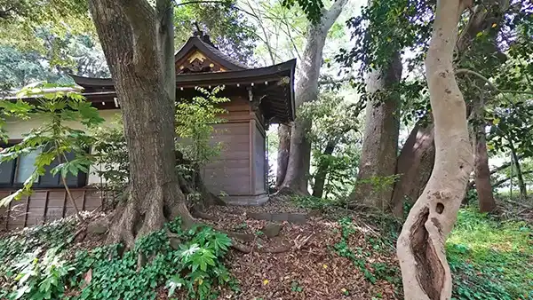 利根町おすすめ観光スポットの来見寺のケヤキ等巨木