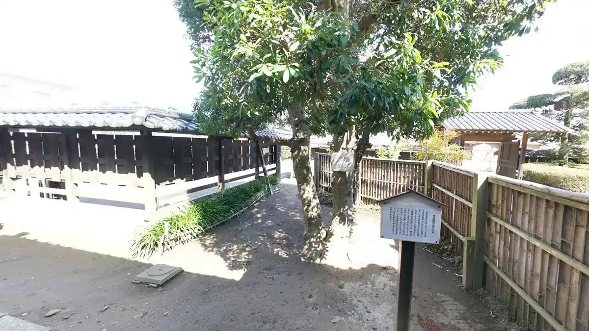 利根町おすすめ観光スポットの柳田國男の愛した木