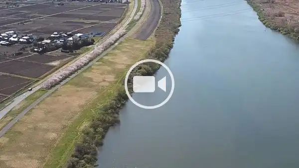 茨城県利根町の利根川の空撮観光動画