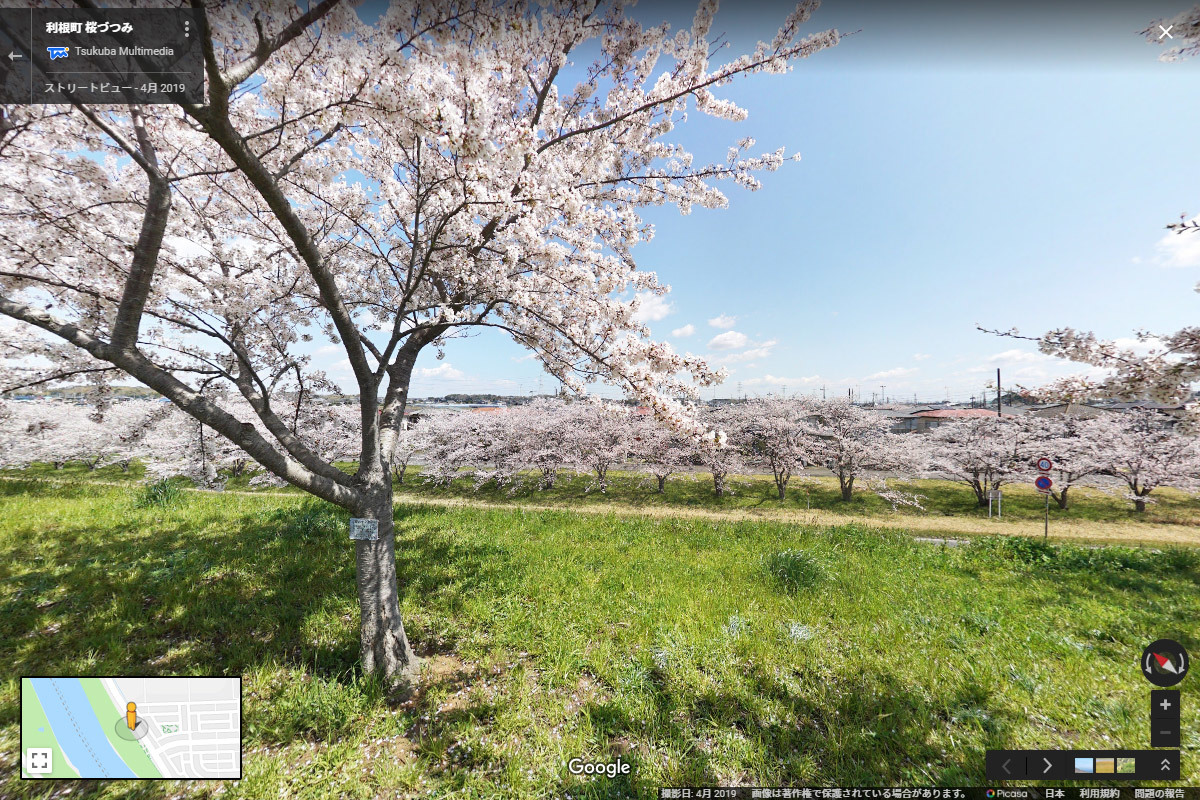 利根町の利根川桜づつみおすすめ観光スポットGoogleストリートビュー