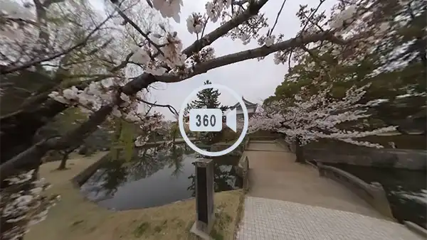 土浦市おすすめ花見スポットの亀城公園の観光VR動画