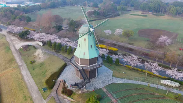 土浦市の霞ヶ浦総合公園の桜VRツアー