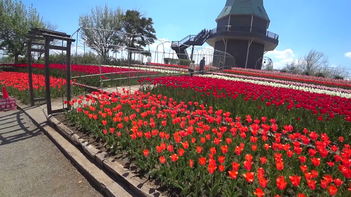 霞ヶ浦総合公園地上動画のサムネイル