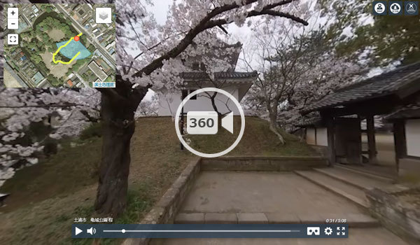 土浦市の亀城公園桜の歩行360度VR動画
