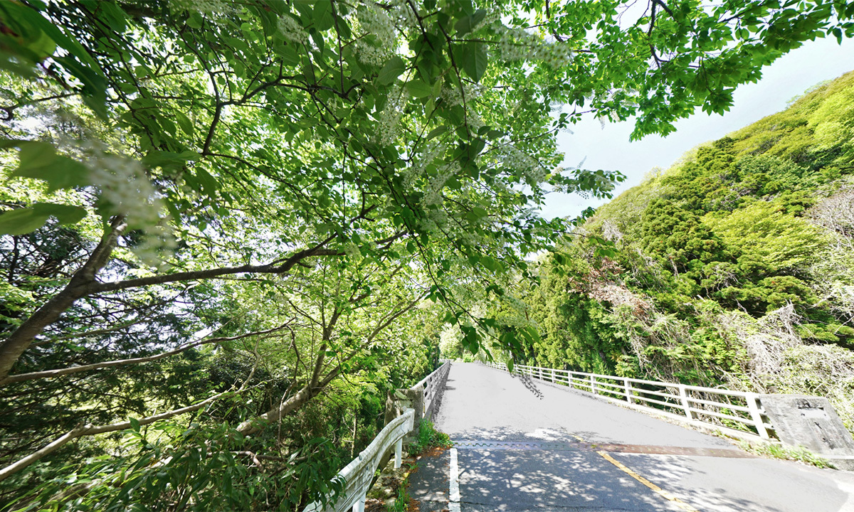 土浦市の花見おすすめスポットフルーツライン・竜雲橋上溝桜のVRツアー
