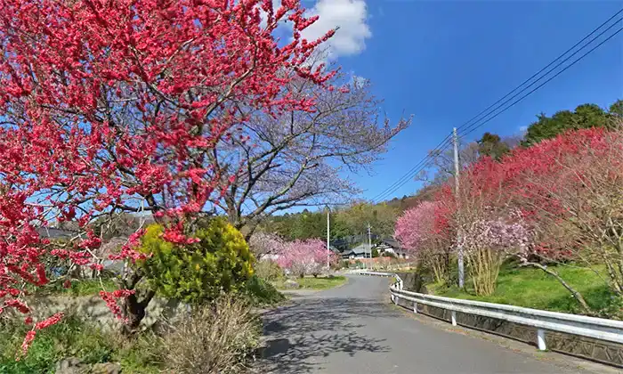 茨城県つくば市山口の花桃の里