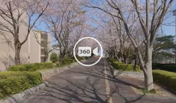 つくば市桜スポットの筑波学院大学の観光VR動画