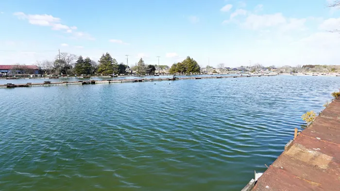 つくば市湖沼おすすめ観光スポットの筑波白水湖