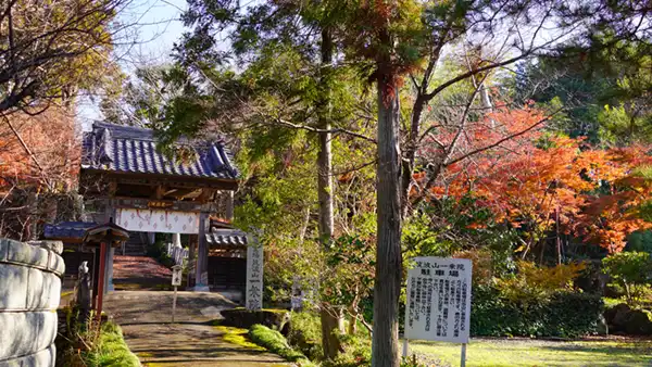 茨城県つくば市の一乗院真福寺の紅葉