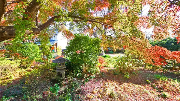 茨城県つくば市の宮本家住宅の紅葉