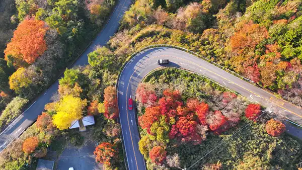 飾返し峠の上空から真下を撮影した紅葉景観