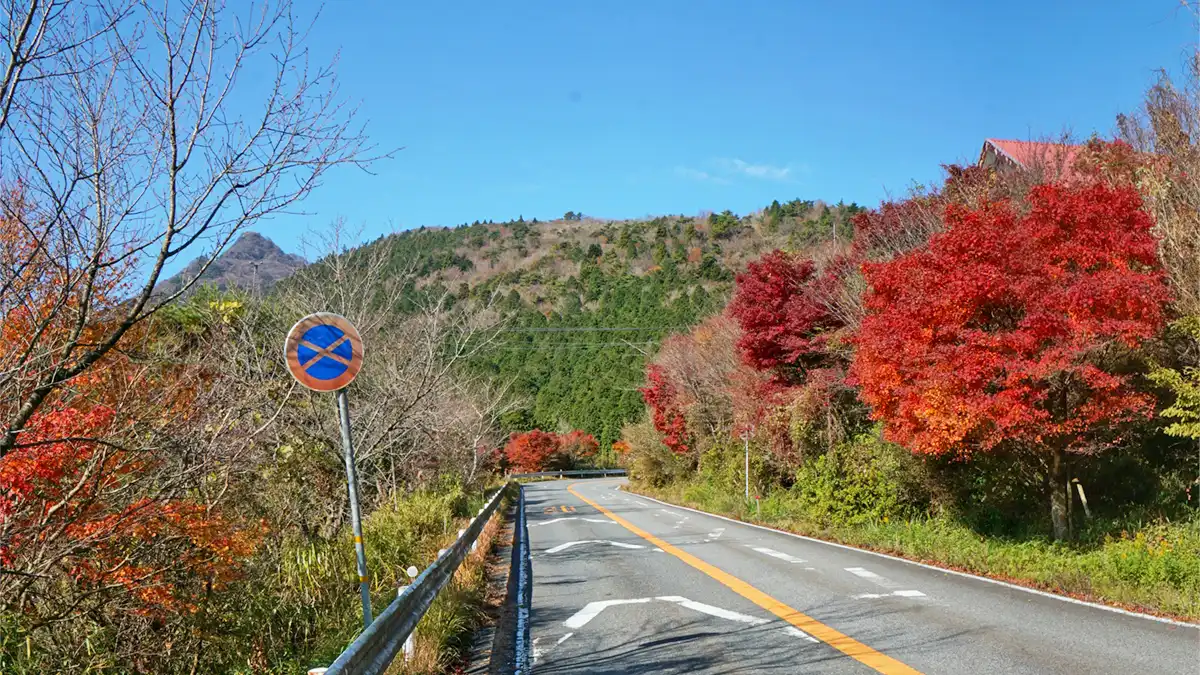 筑波スカイライン駐車場からの筑波山方面を見た地上紅葉景観