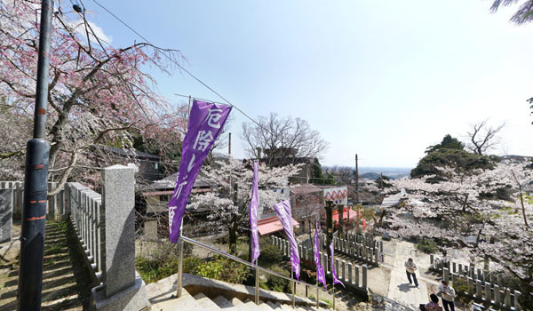 つくば市の筑波山神社の桜VRツアー