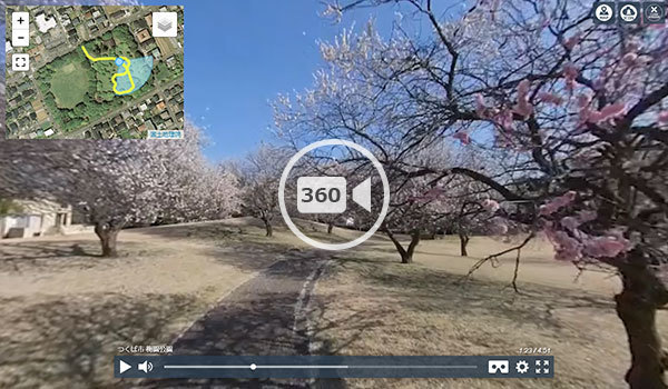 つくば市梅園の梅園公園の360度動画
