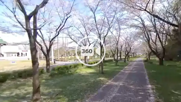 つくば市の桜おすすめスポットの筑波大学傍の観光VR動画