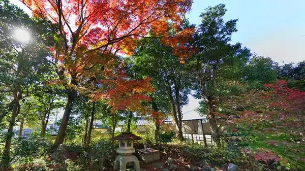 茨城県つくば市の矢中の杜の紅葉