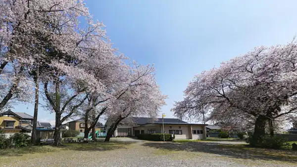 つくば市の妻木地区集落センターの桜VRツアー