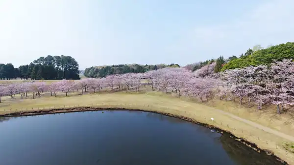 つくば市の科学万博記念公園案内VRツアー