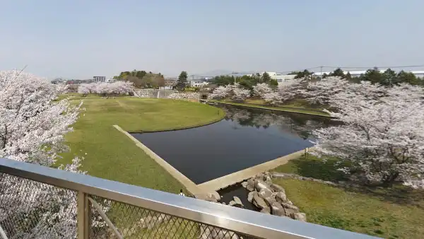 つくば市の反町の森公園のVRツアー