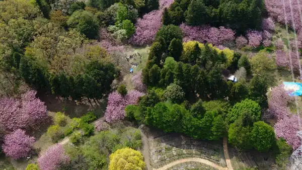 つくば市の高崎自然の森VRツアー