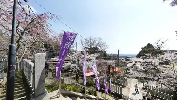 つくば市の筑波山神社の桜VRツアー