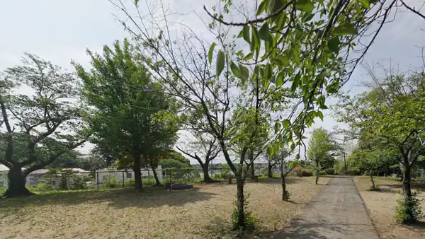 つくば市谷田部の愛宕神社VRツアー