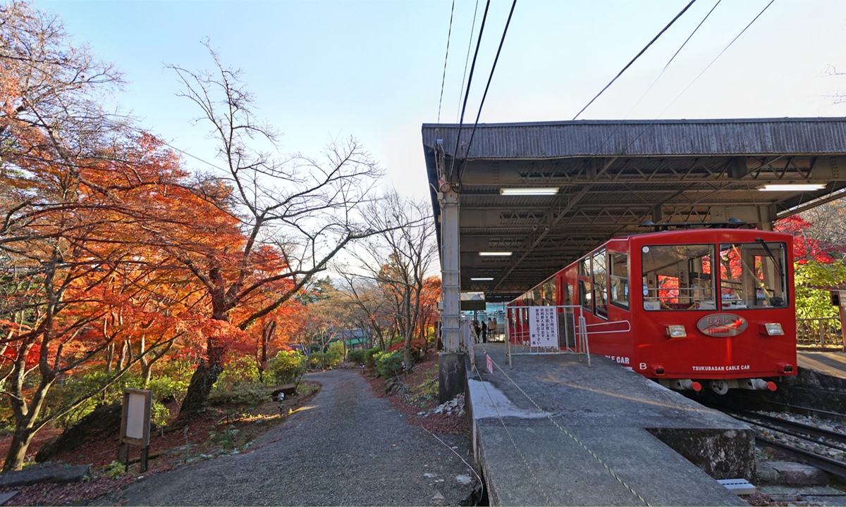 茨城県つくば市の筑波山ケーブルカー山麓駅付近の紅葉