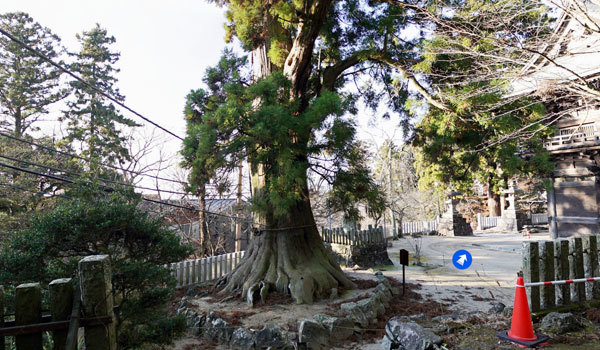 茨城県つくば市の巨木観光名所の筑波山神社