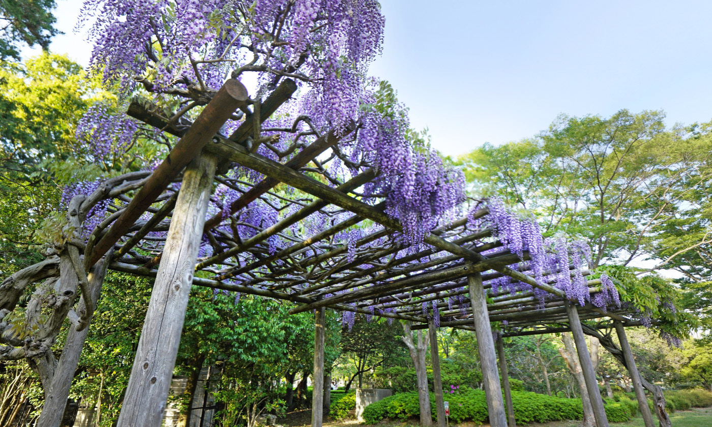 茨城県土浦市霞ヶ浦総合公園の観光VRツアー