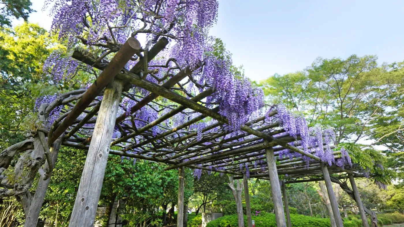 茨城県土浦市霞ヶ浦総合公園の観光VRツアー