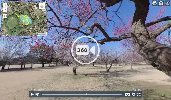つくば市観光スポットの梅園公園の観光VR動画